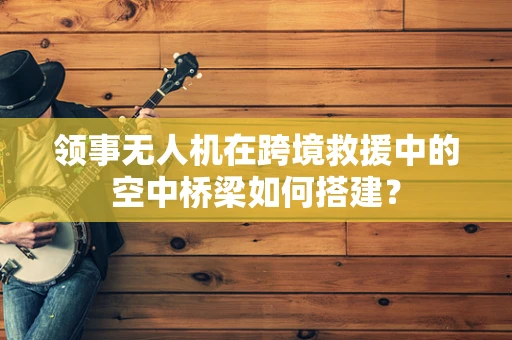 领事无人机在跨境救援中的空中桥梁如何搭建？