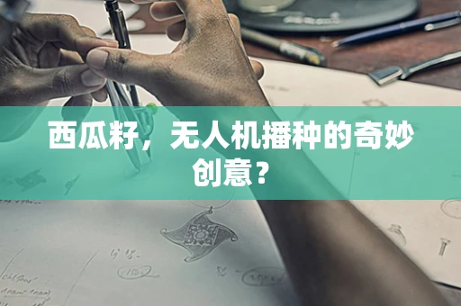 西瓜籽，无人机播种的奇妙创意？