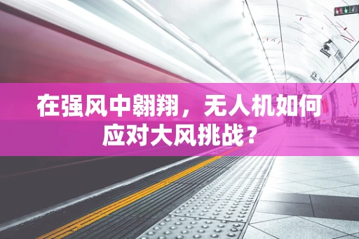 在强风中翱翔，无人机如何应对大风挑战？