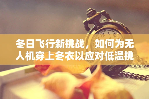 冬日飞行新挑战，如何为无人机穿上冬衣以应对低温挑战？