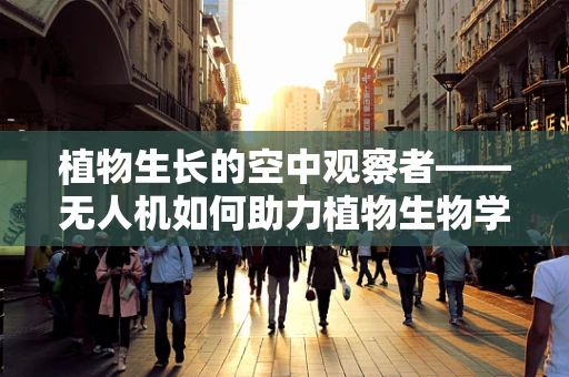 植物生长的空中观察者——无人机如何助力植物生物学研究？
