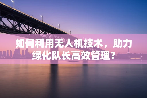 如何利用无人机技术，助力绿化队长高效管理？