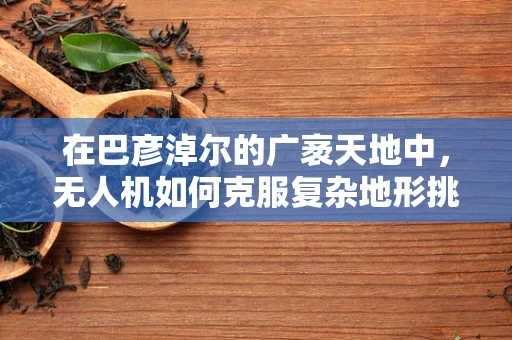 在巴彦淖尔的广袤天地中，无人机如何克服复杂地形挑战？