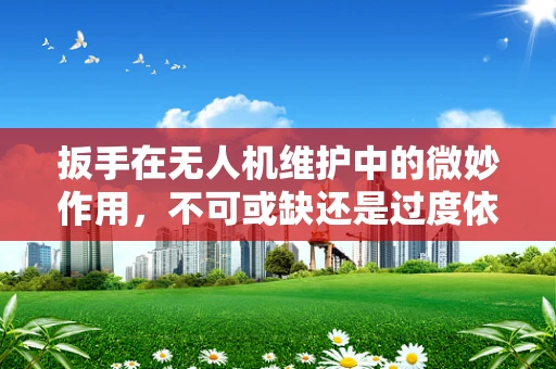 扳手在无人机维护中的微妙作用，不可或缺还是过度依赖？