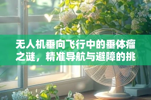 无人机垂向飞行中的垂体瘤之谜，精准导航与避障的挑战