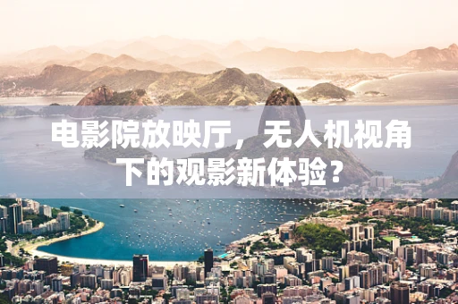 电影院放映厅，无人机视角下的观影新体验？