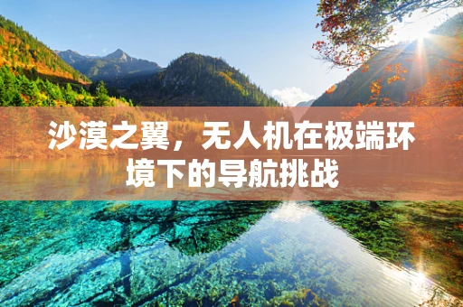 沙漠之翼，无人机在极端环境下的导航挑战