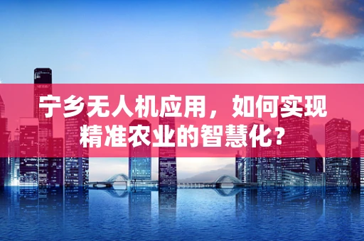 宁乡无人机应用，如何实现精准农业的智慧化？