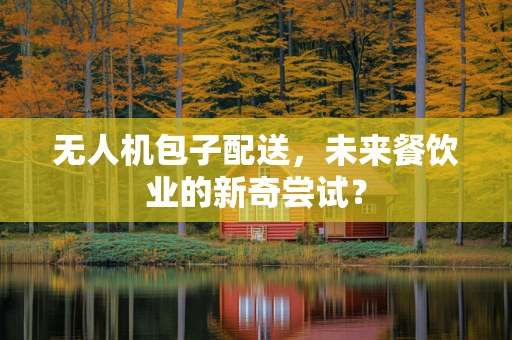 无人机包子配送，未来餐饮业的新奇尝试？