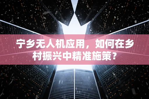 宁乡无人机应用，如何在乡村振兴中精准施策？