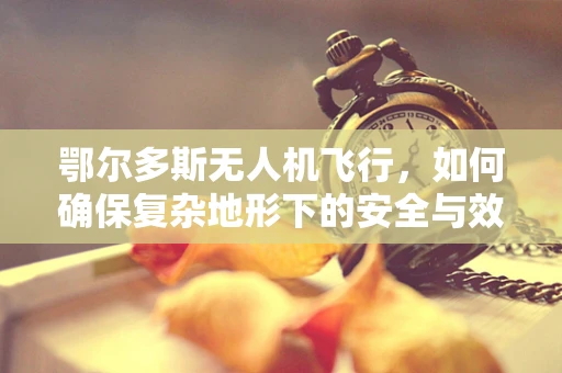 鄂尔多斯无人机飞行，如何确保复杂地形下的安全与效率？