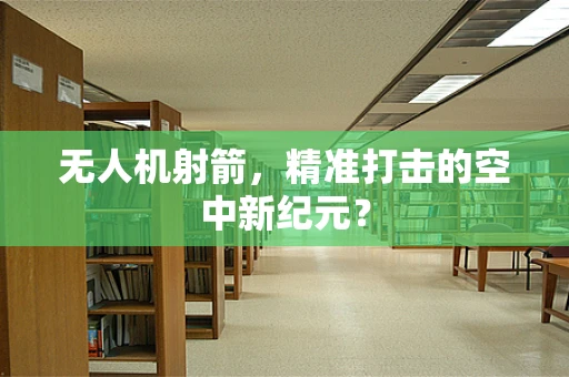 无人机射箭，精准打击的空中新纪元？