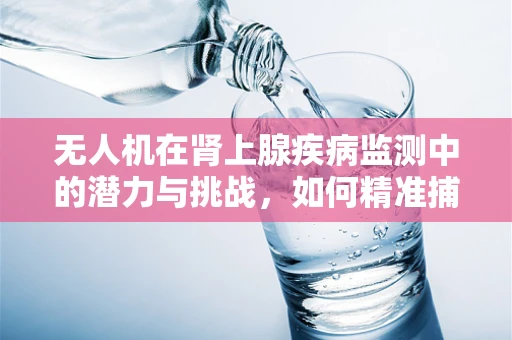 无人机在肾上腺疾病监测中的潜力与挑战，如何精准捕捉患者病情变化？