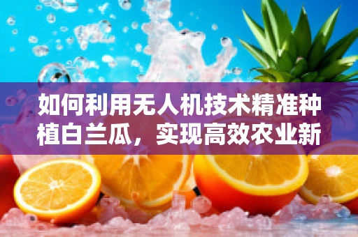 如何利用无人机技术精准种植白兰瓜，实现高效农业新篇章？