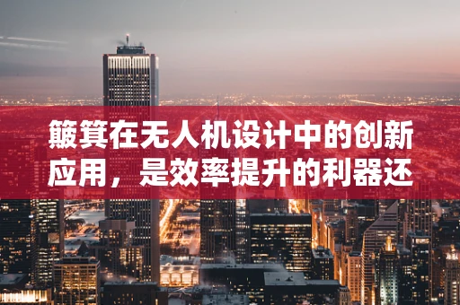 簸箕在无人机设计中的创新应用，是效率提升的利器还是多余之赘？
