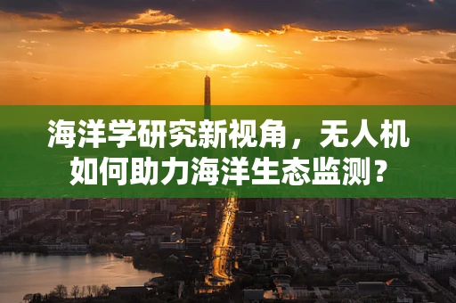 海洋学研究新视角，无人机如何助力海洋生态监测？