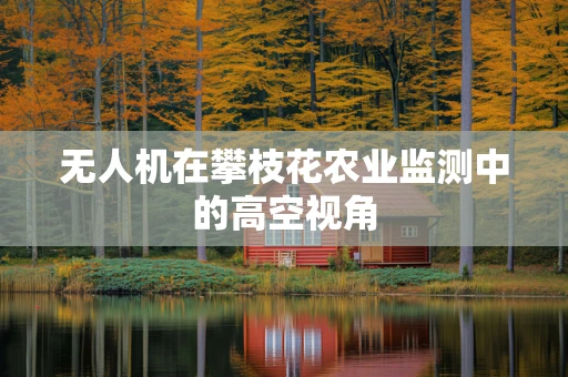 无人机在攀枝花农业监测中的高空视角