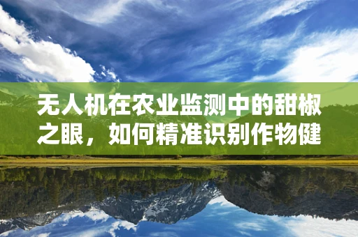 无人机在农业监测中的甜椒之眼，如何精准识别作物健康状况？
