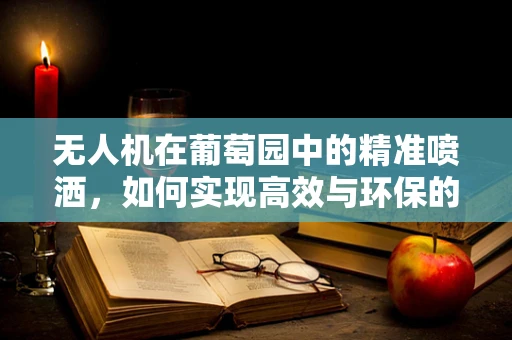 无人机在葡萄园中的精准喷洒，如何实现高效与环保的平衡？