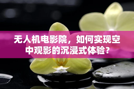 无人机电影院，如何实现空中观影的沉浸式体验？