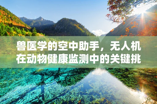 兽医学的空中助手，无人机在动物健康监测中的关键挑战与解决方案