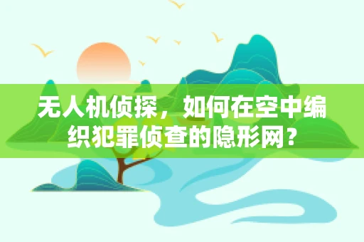 无人机侦探，如何在空中编织犯罪侦查的隐形网？