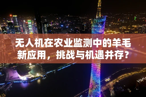 无人机在农业监测中的羊毛新应用，挑战与机遇并存？