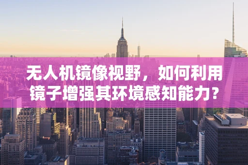 无人机镜像视野，如何利用镜子增强其环境感知能力？