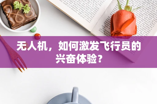 无人机，如何激发飞行员的兴奋体验？