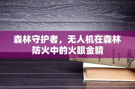 森林守护者，无人机在森林防火中的火眼金睛