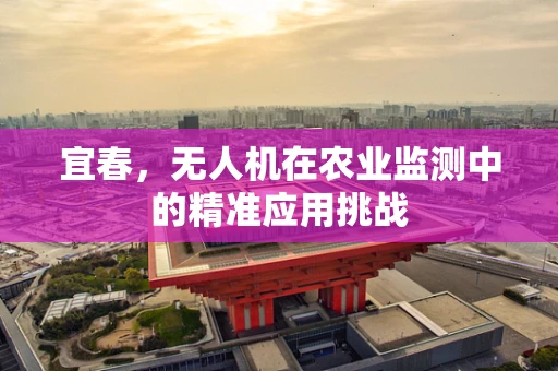 宜春，无人机在农业监测中的精准应用挑战