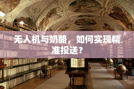 无人机与奶酪，如何实现精准投送？