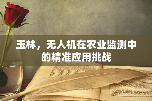 玉林，无人机在农业监测中的精准应用挑战
