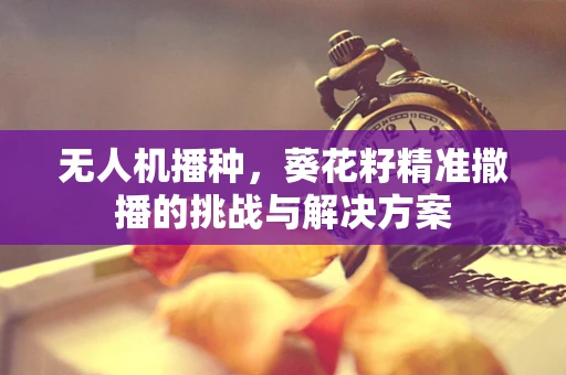 无人机播种，葵花籽精准撒播的挑战与解决方案