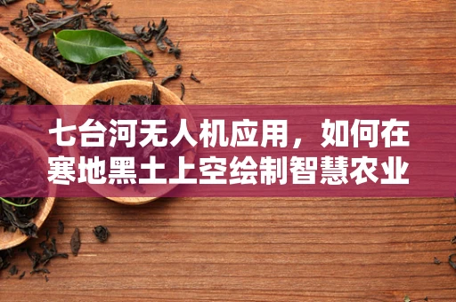 七台河无人机应用，如何在寒地黑土上空绘制智慧农业的蓝图？