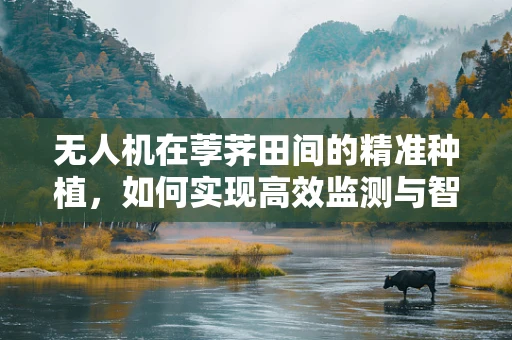 无人机在荸荠田间的精准种植，如何实现高效监测与智能播种？