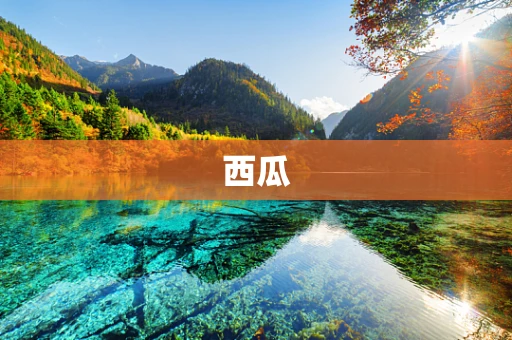 西瓜