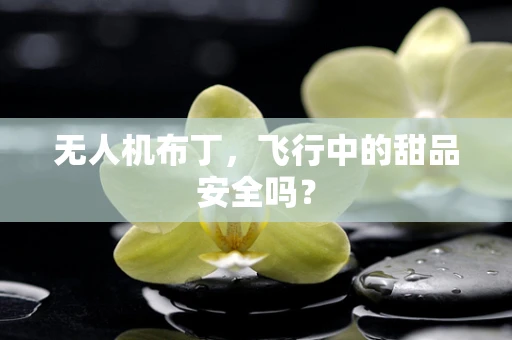 无人机布丁，飞行中的甜品安全吗？