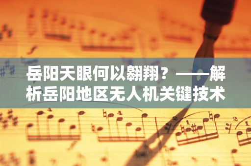 岳阳天眼何以翱翔？——解析岳阳地区无人机关键技术应用与挑战