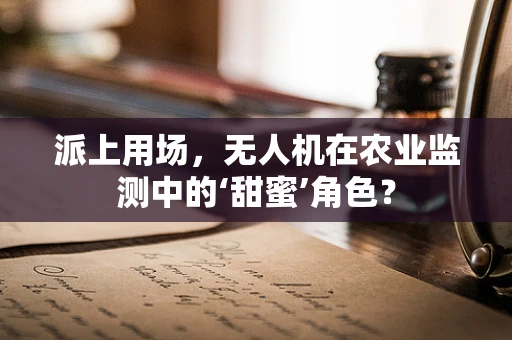 派上用场，无人机在农业监测中的‘甜蜜’角色？