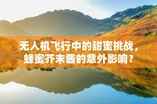 无人机飞行中的甜蜜挑战，蜂蜜芥末酱的意外影响？