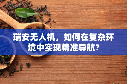 瑞安无人机，如何在复杂环境中实现精准导航？