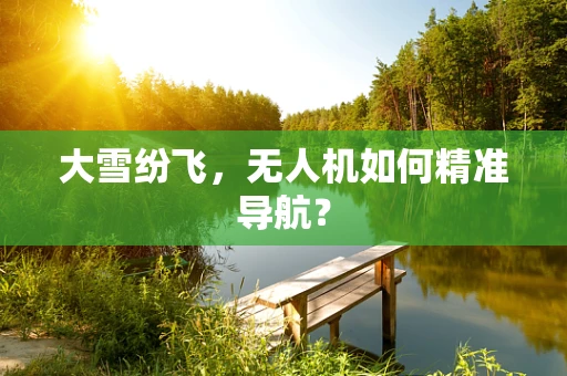 大雪纷飞，无人机如何精准导航？
