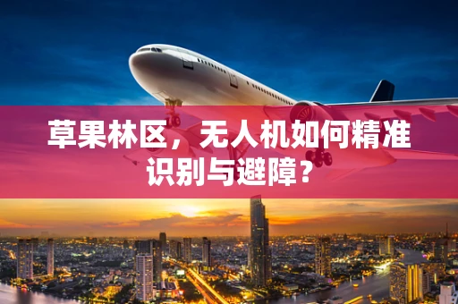 草果林区，无人机如何精准识别与避障？