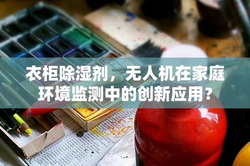 衣柜除湿剂，无人机在家庭环境监测中的创新应用？