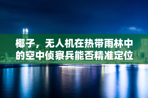 椰子，无人机在热带雨林中的空中侦察兵能否精准定位？