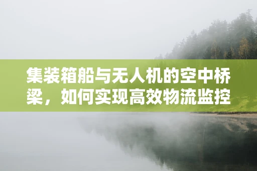 集装箱船与无人机的空中桥梁，如何实现高效物流监控？