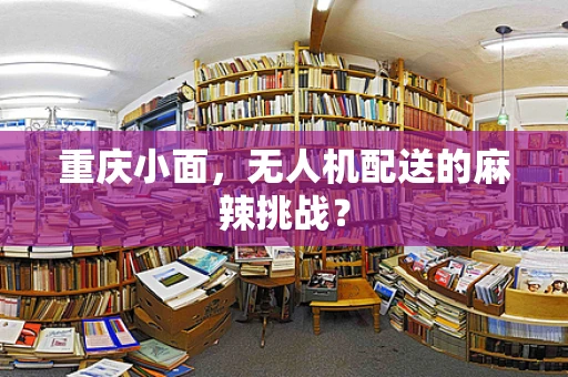 重庆小面，无人机配送的麻辣挑战？