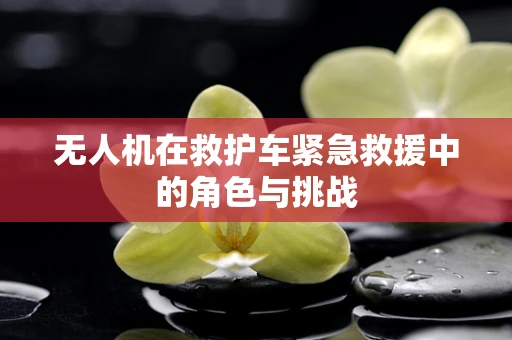 无人机在救护车紧急救援中的角色与挑战