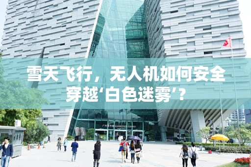 雪天飞行，无人机如何安全穿越‘白色迷雾’？